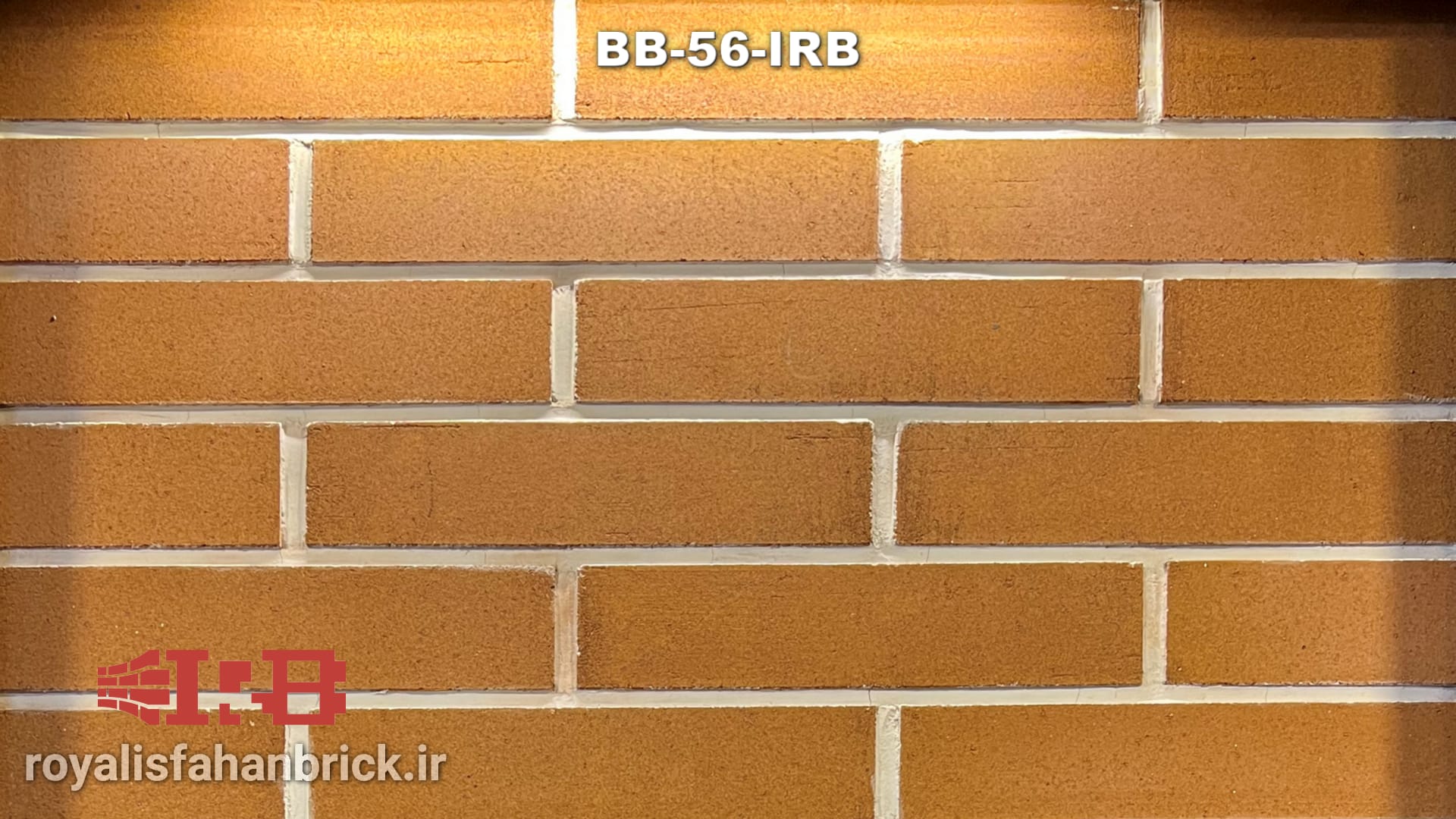 BB-56-IRB