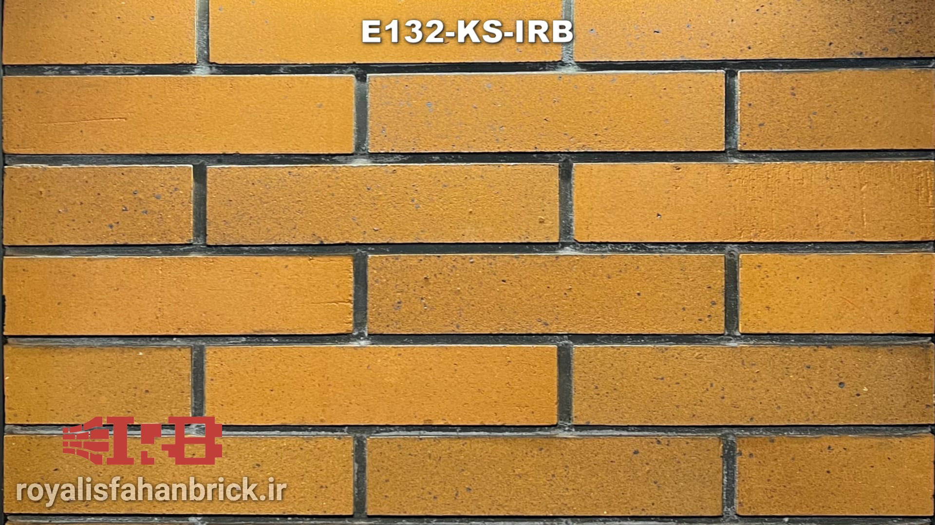 E132-KS-IRB