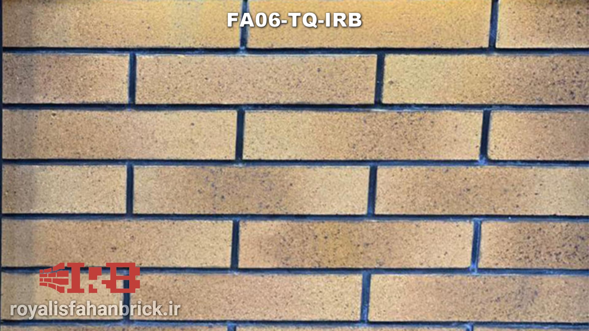 FA06-TQ-IRB