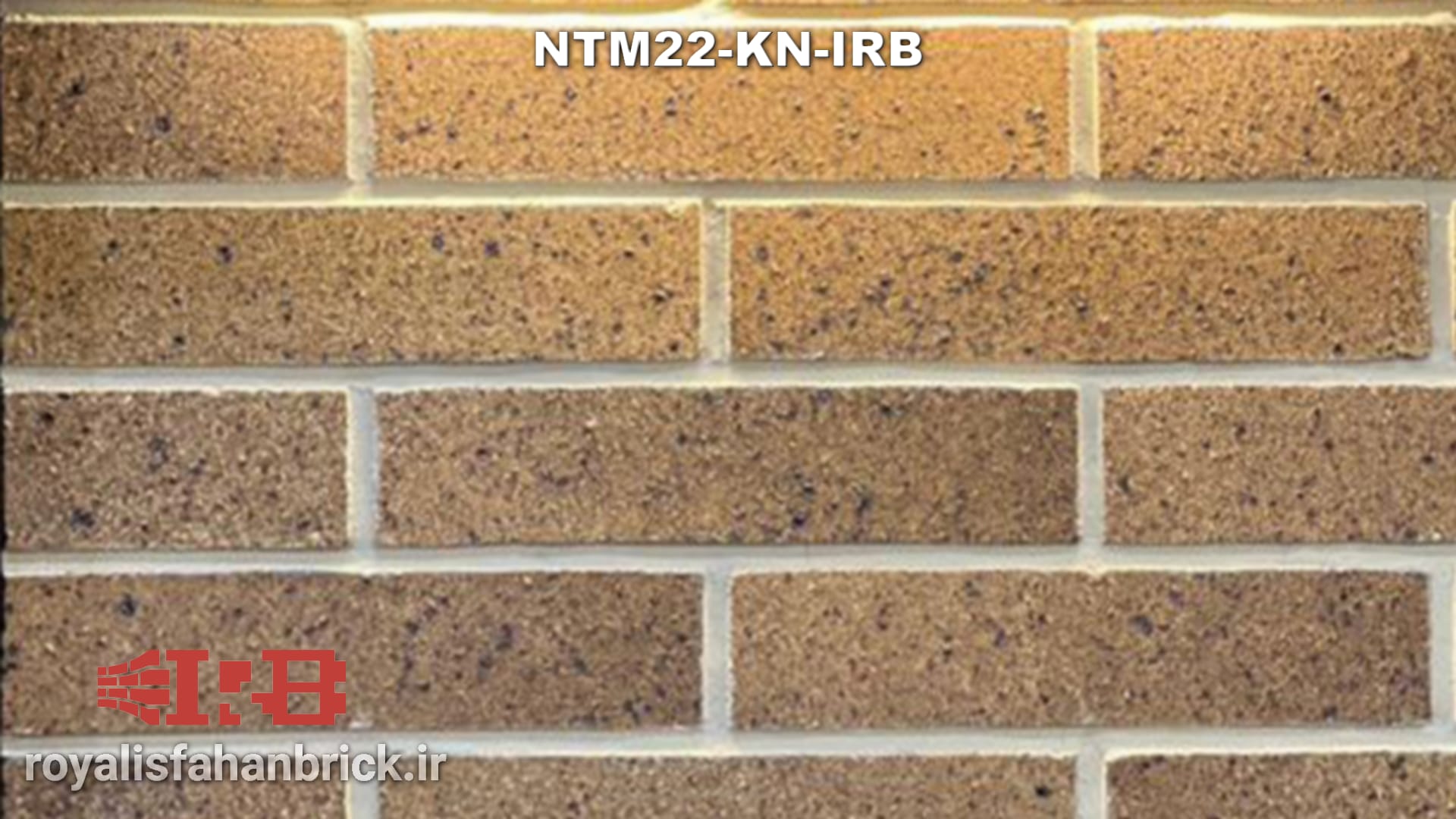 NTM22-KN-IRB