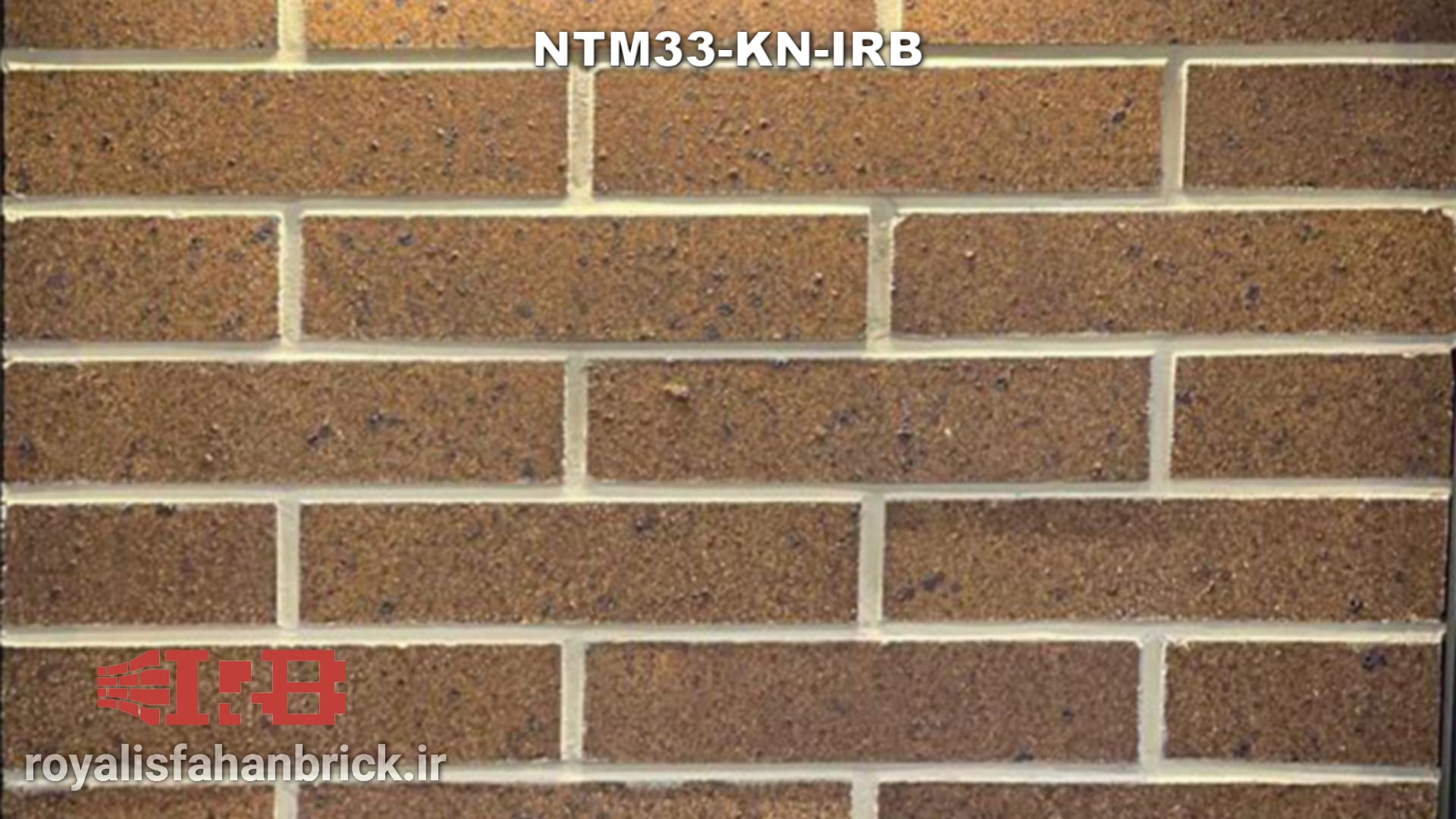NTM33-KN-IRB