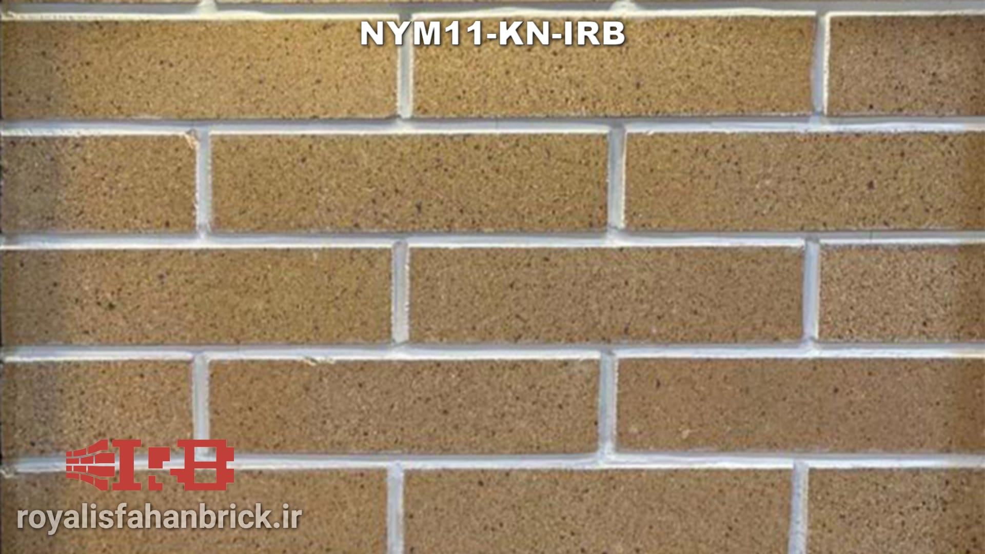 NYM11-KN-IRB