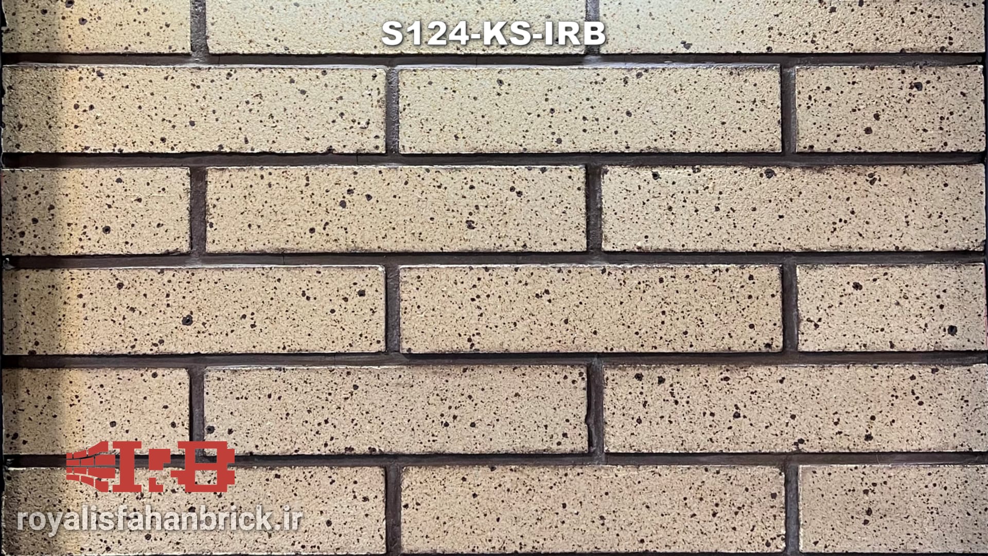 S124-KS-IRB