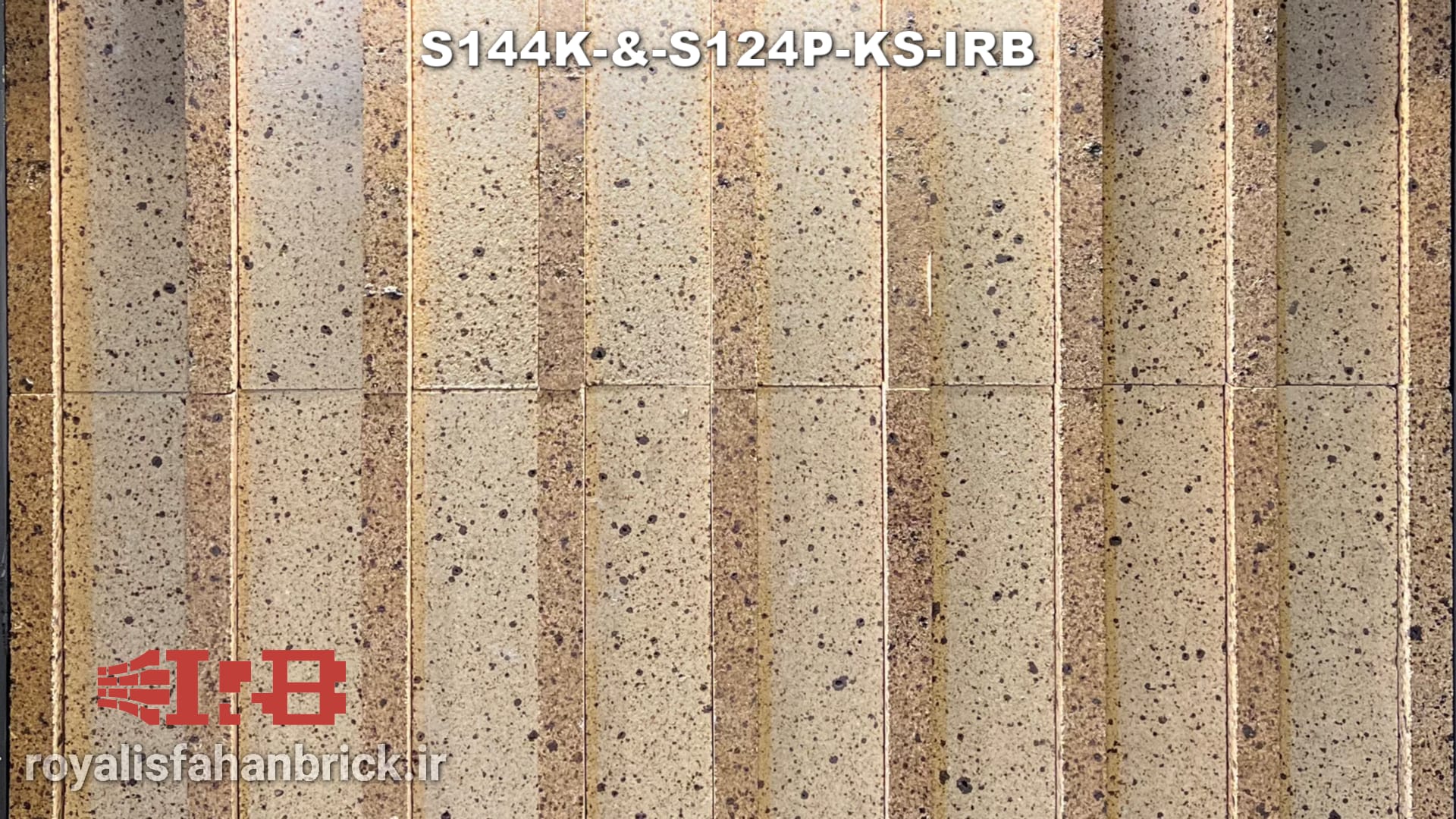 S144K-&-S124P-KS-IRB