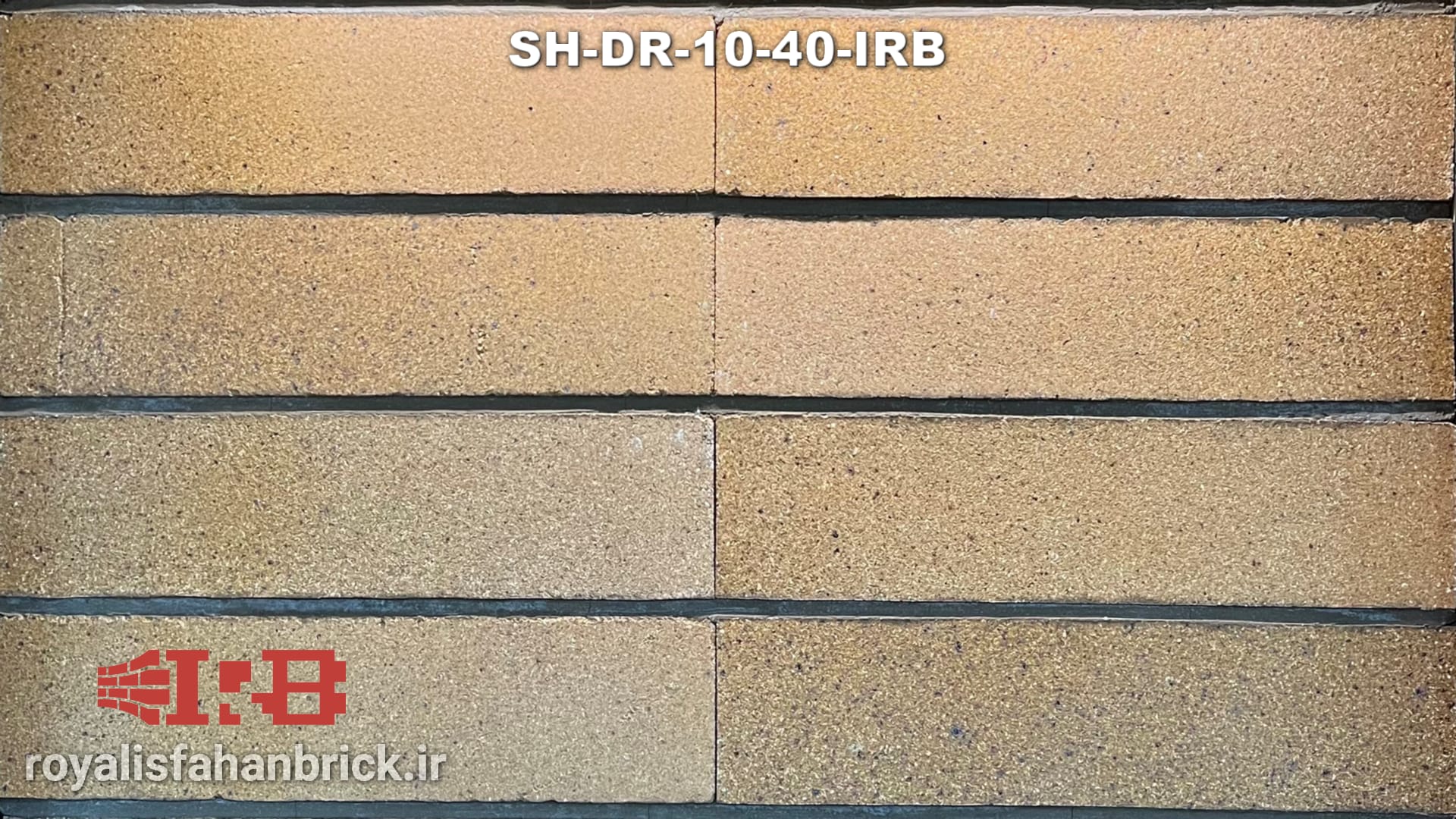 SH-DR-10-40-IRB