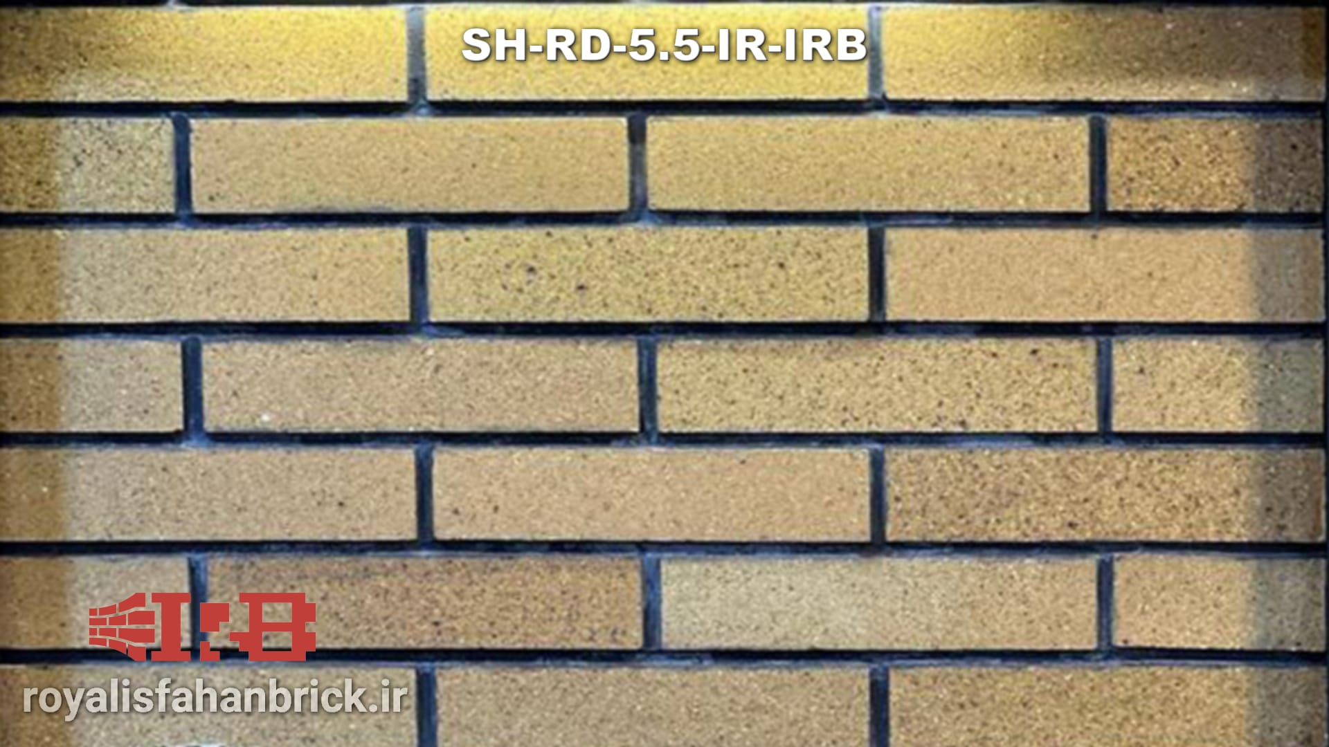 SH-RD-5.5-IR-IRB