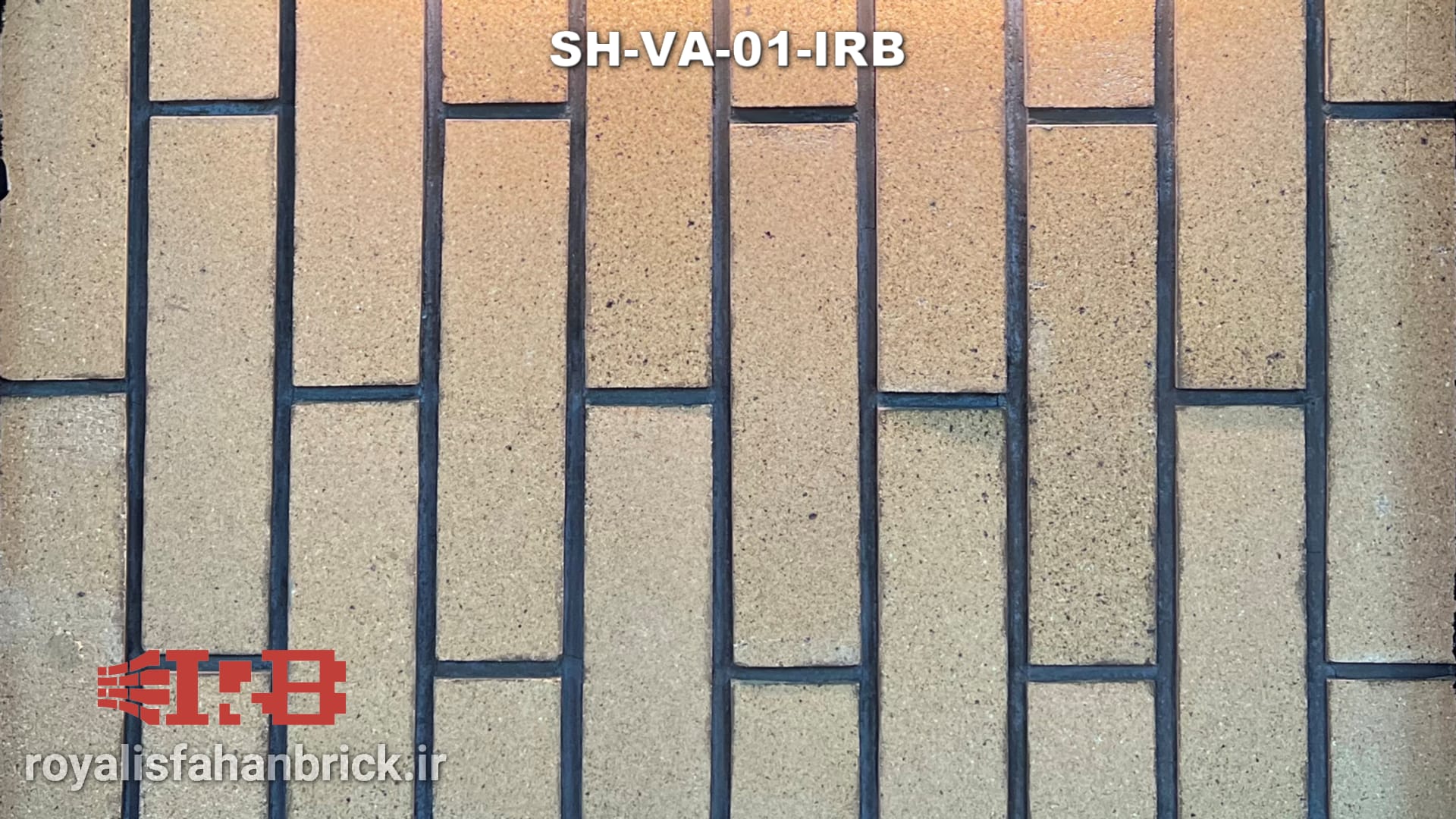 SH-VA-01-IRB