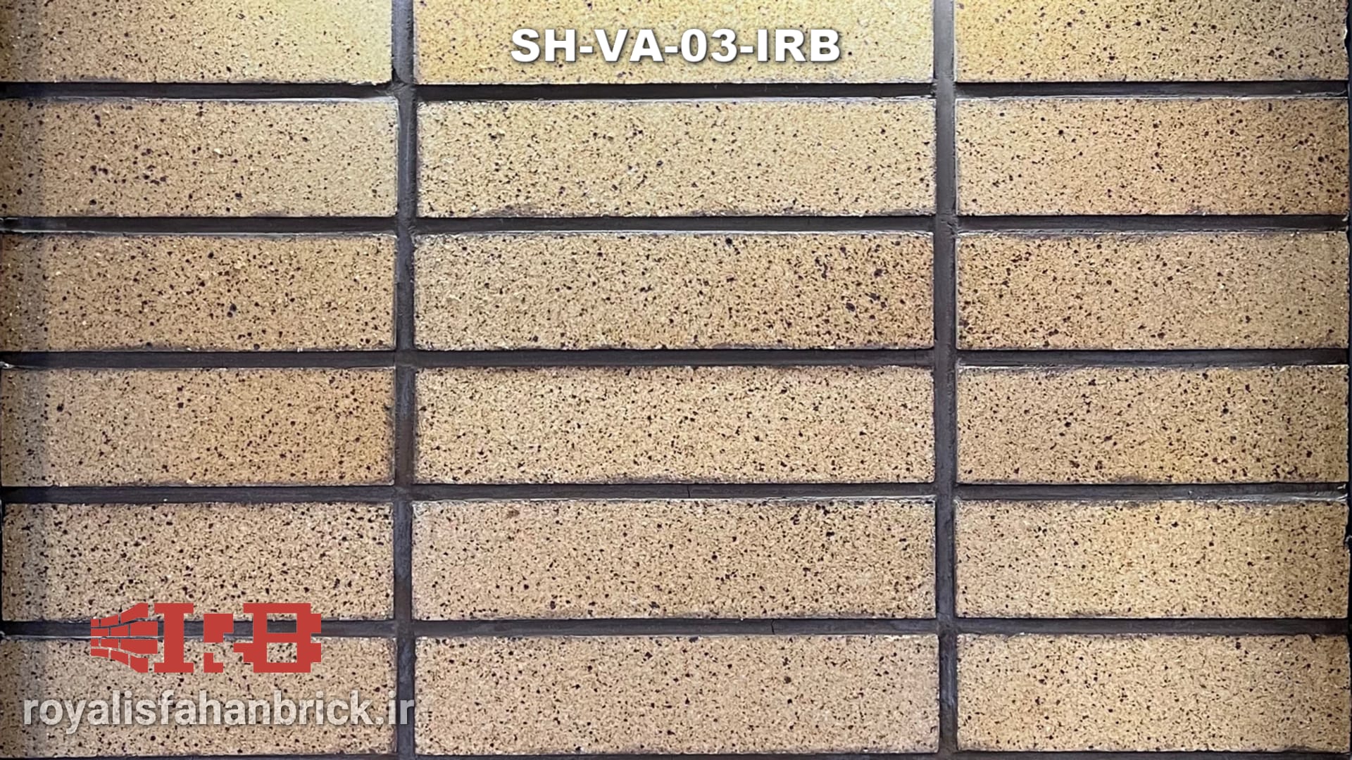 SH-VA-03-IRB
