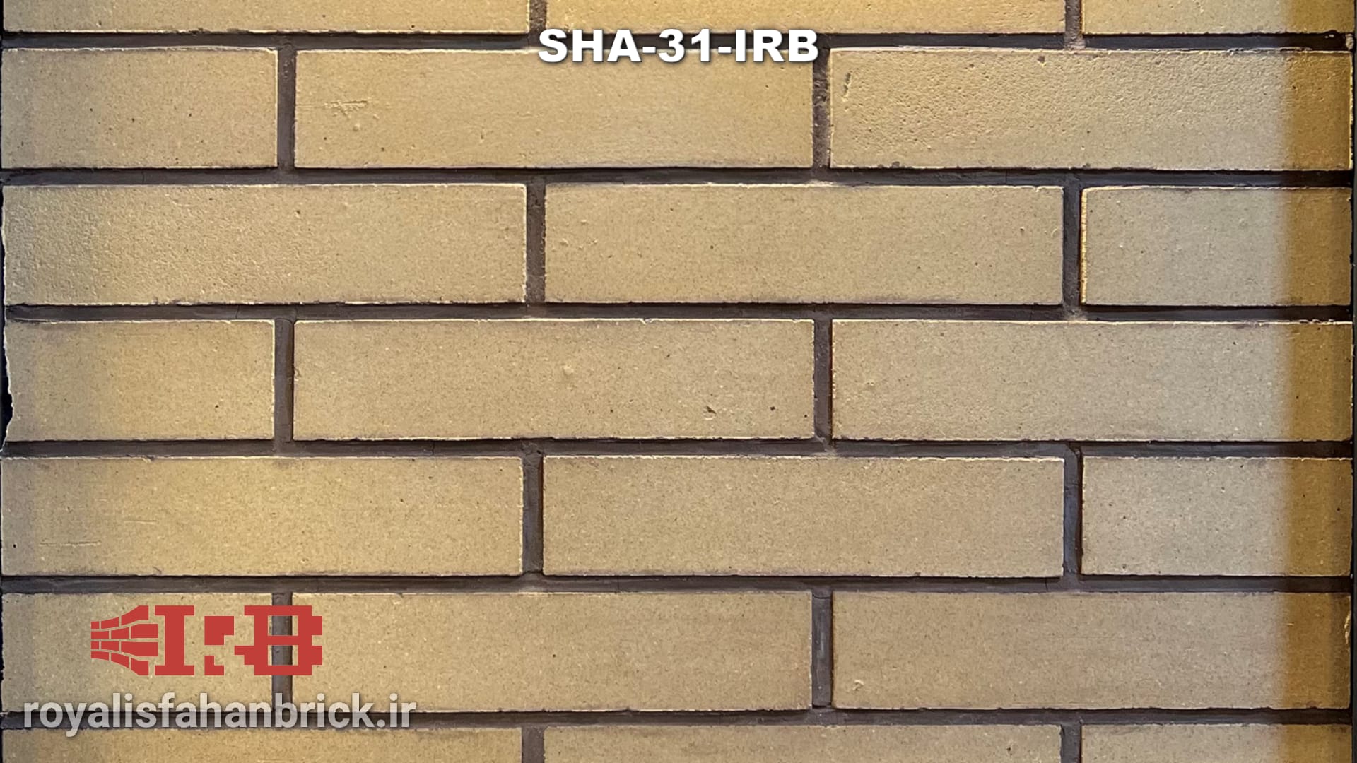 SHA-31-IRB