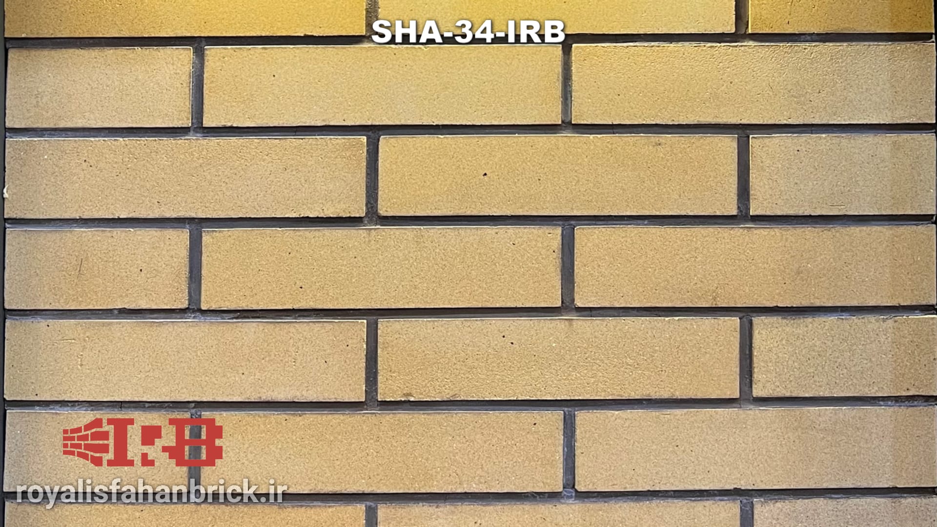 SHA-34-IRB