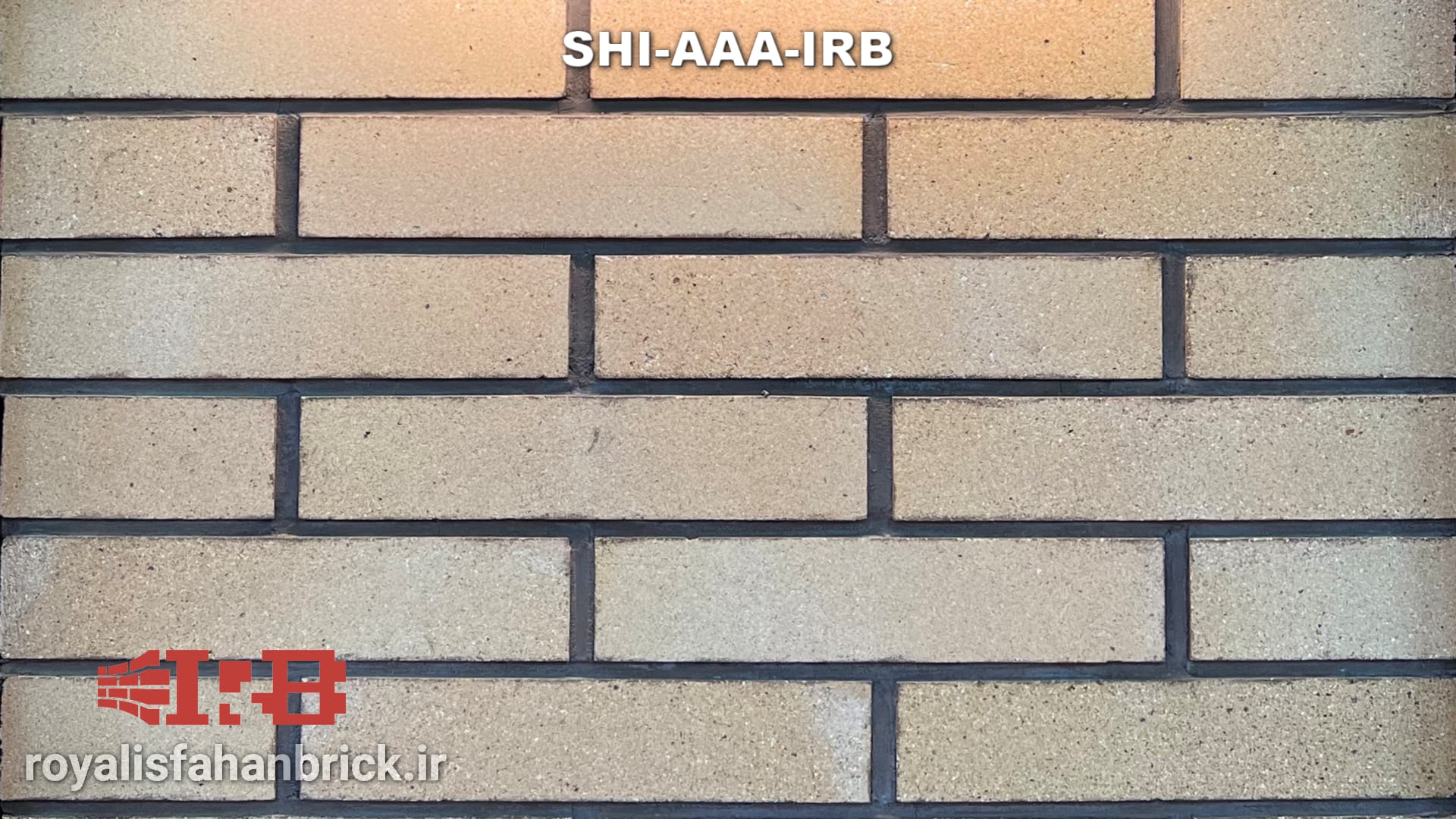 SHI-AAA-IRB