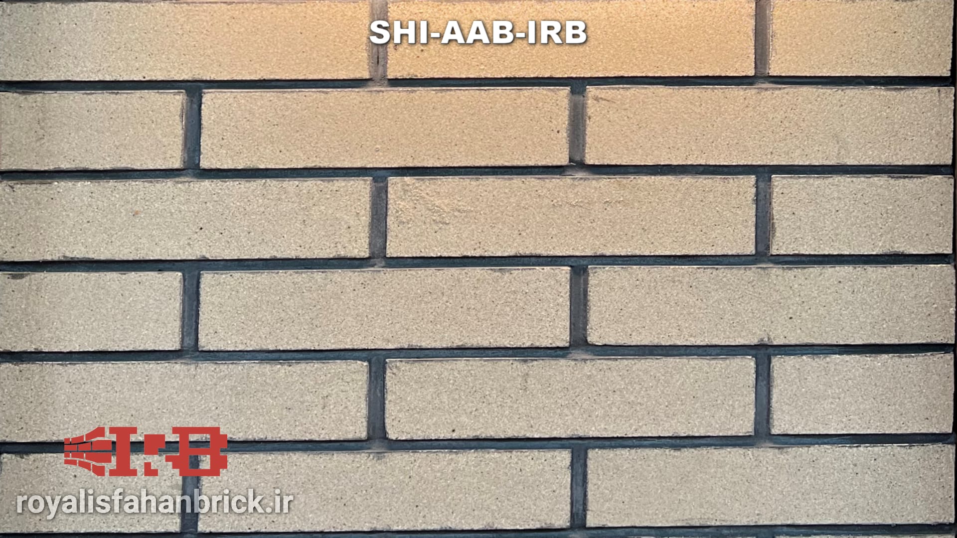SHI-AAB-IRB