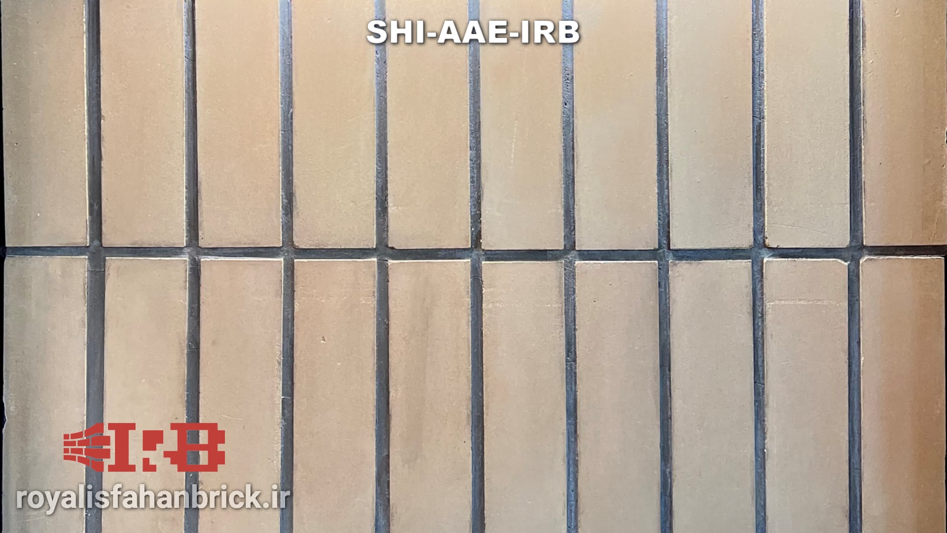 SHI-AAE-IRB