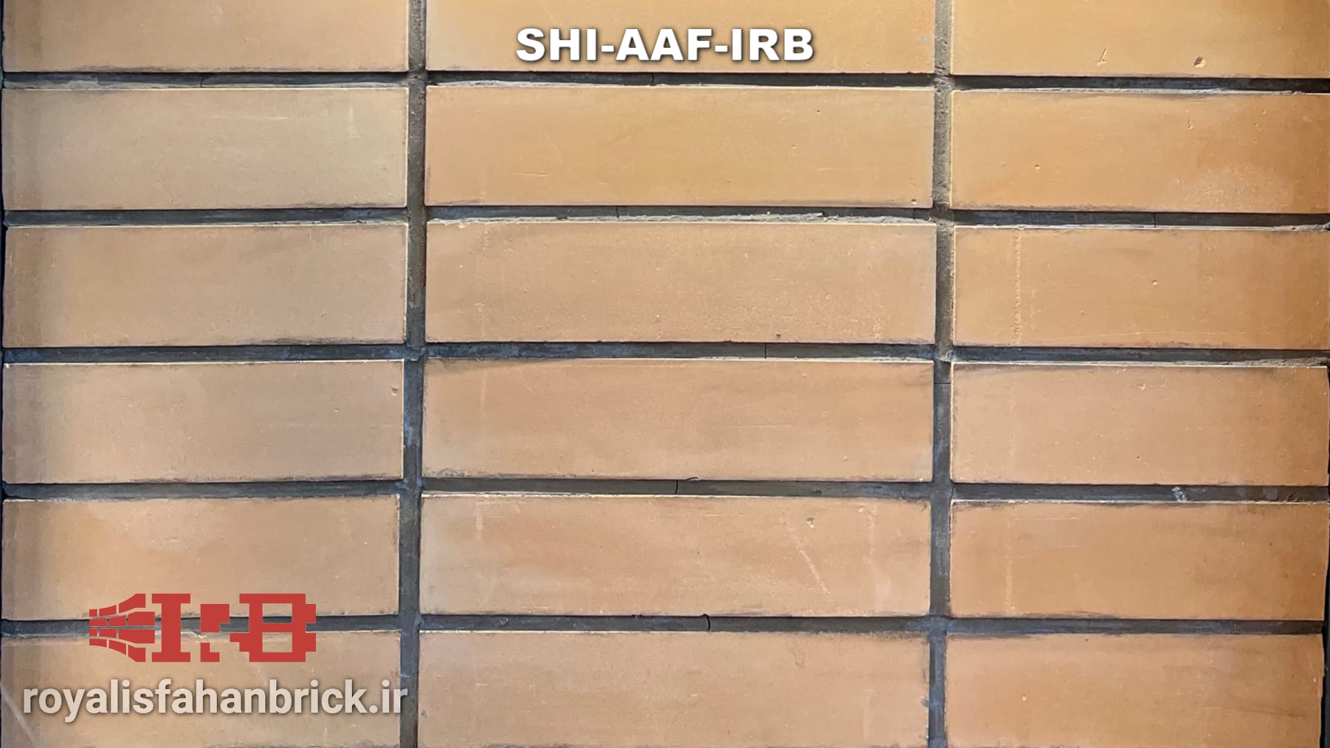 SHI-AAF-IRB