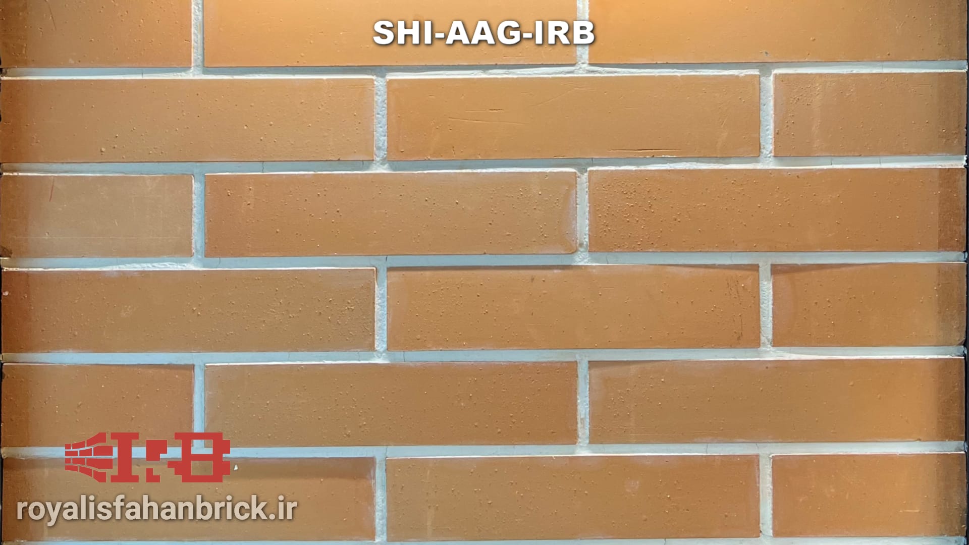 SHI-AAG-IRB