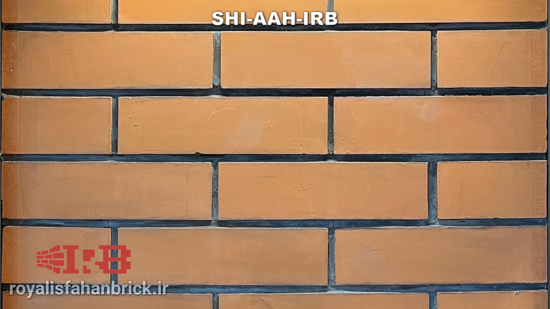 SHI-AAH-IRB
