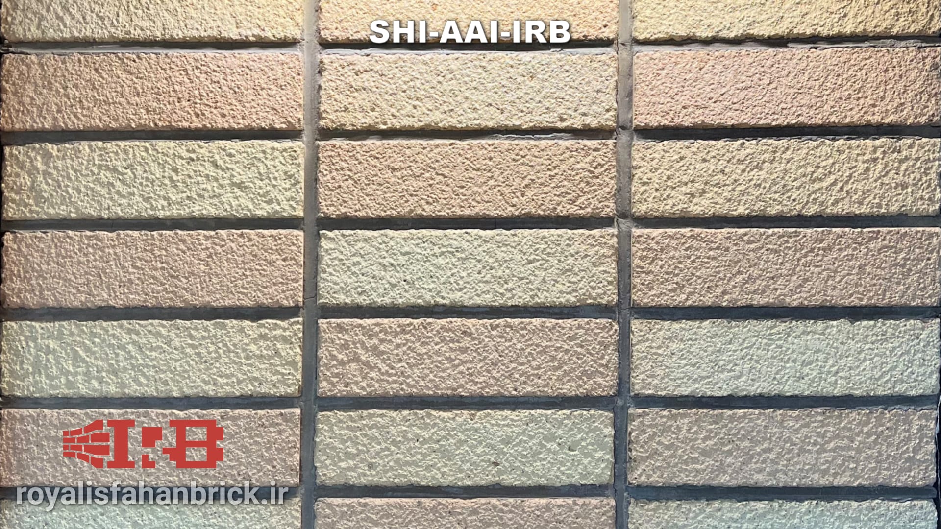SHI-AAI-IRB