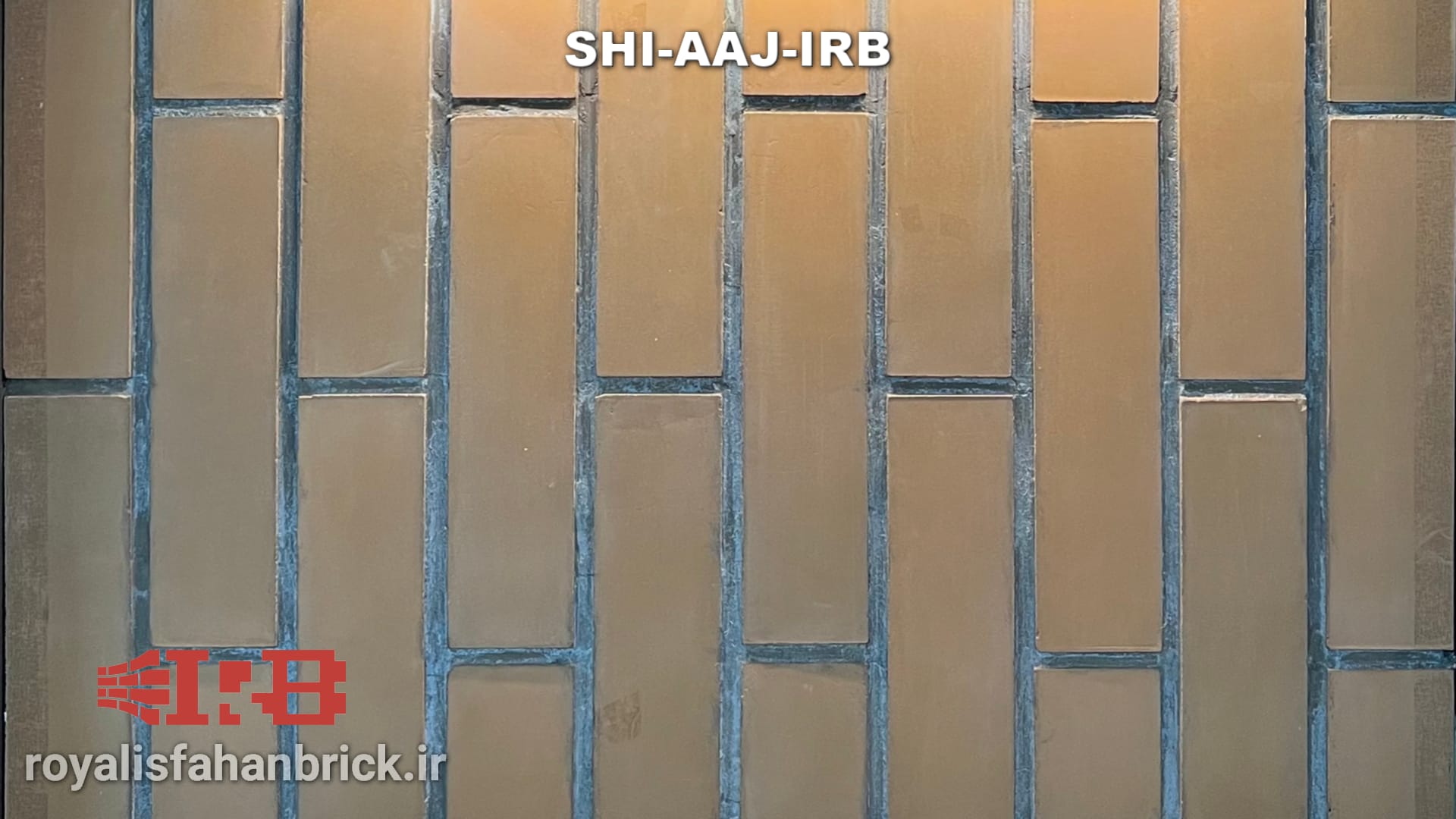 SHI-AAJ-IRB
