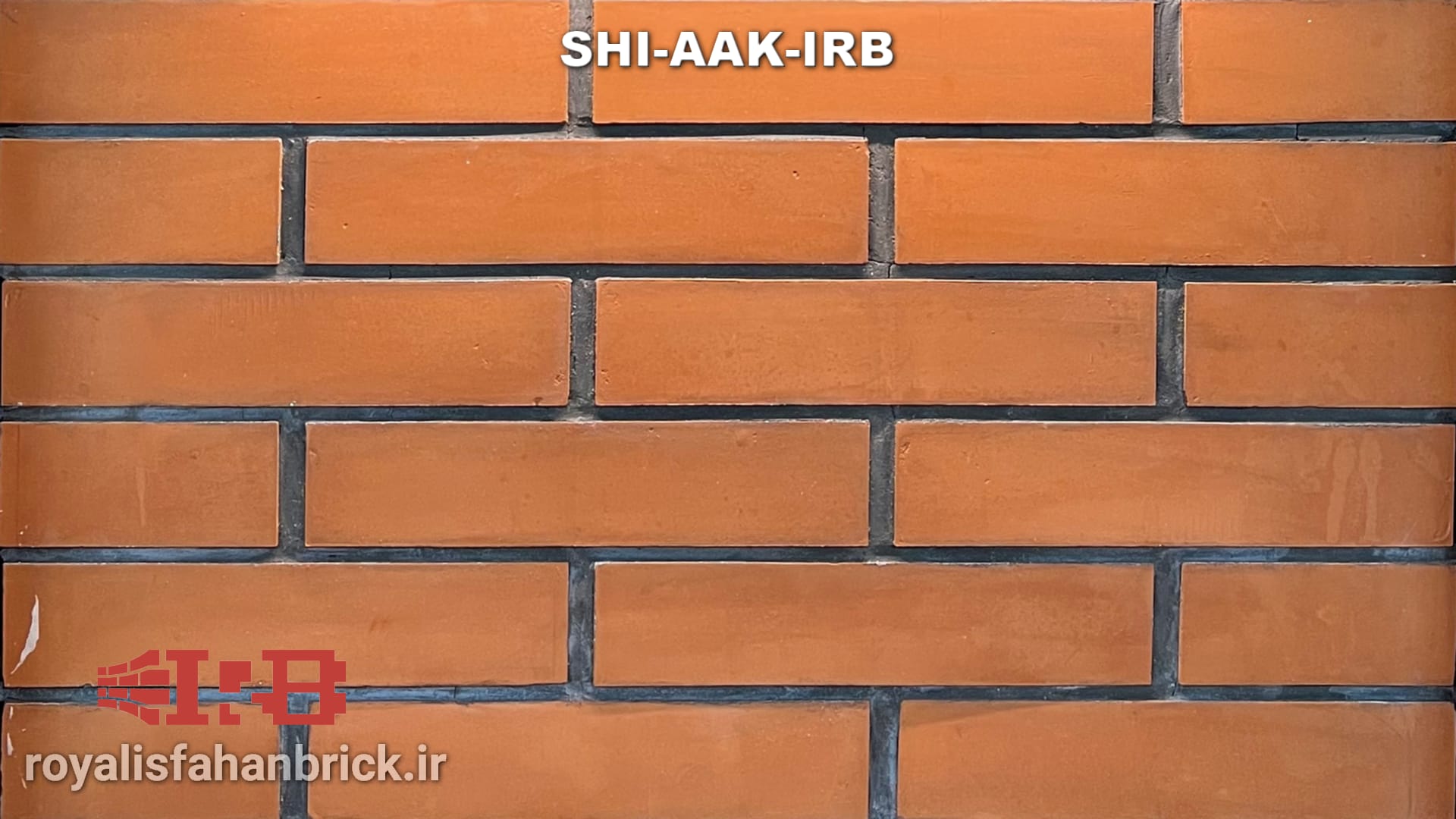 SHI-AAK-IRB