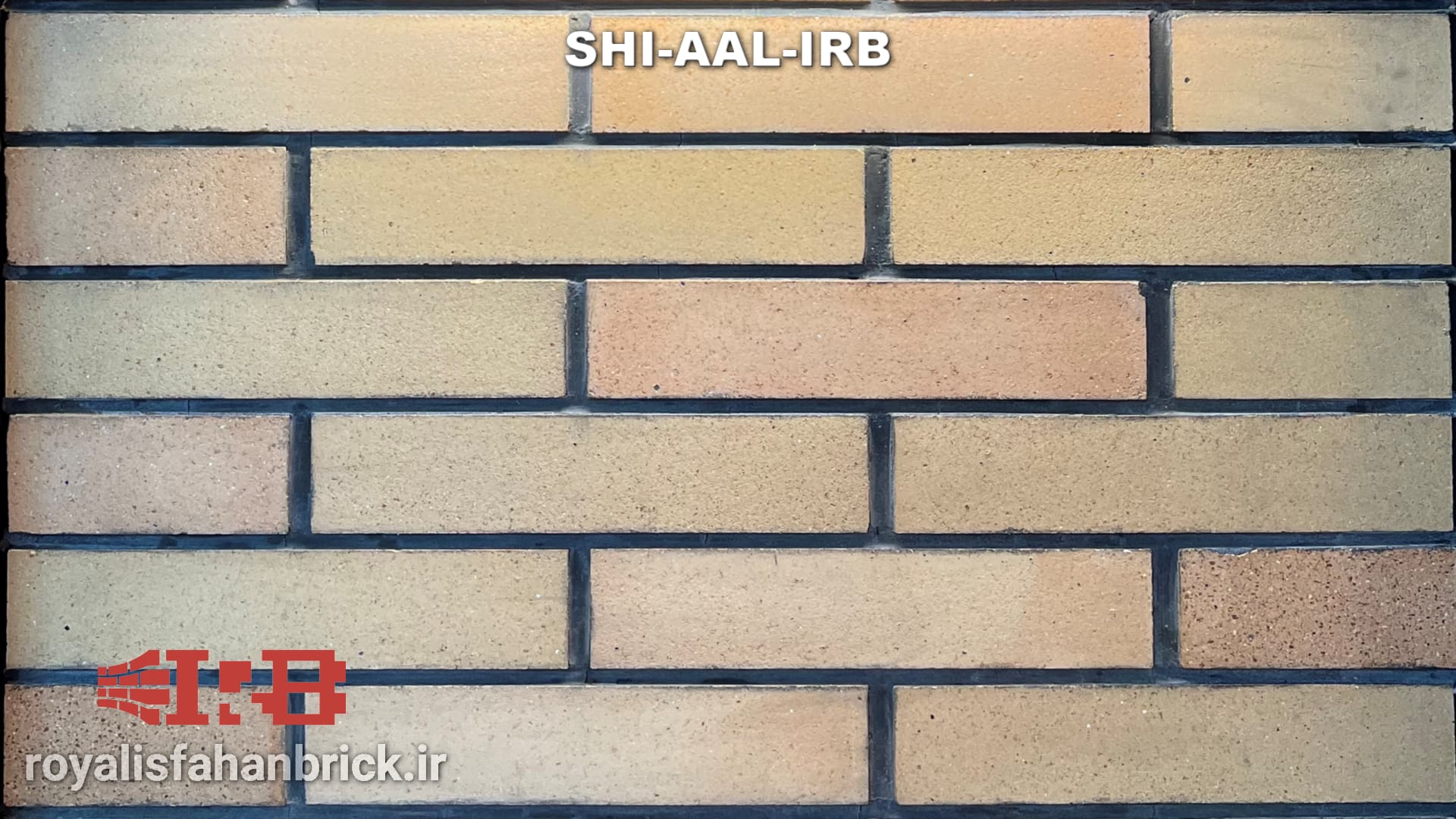 SHI-AAL-IRB