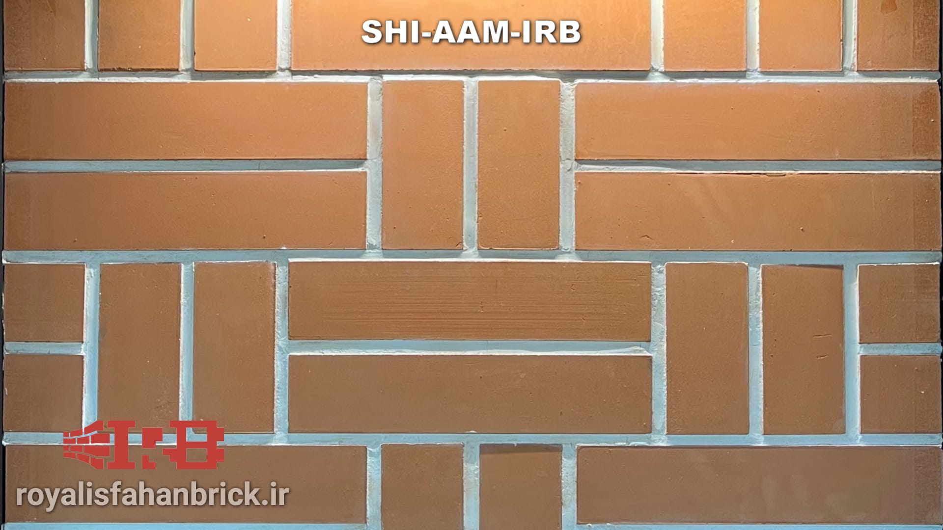 SHI-AAM-IRB