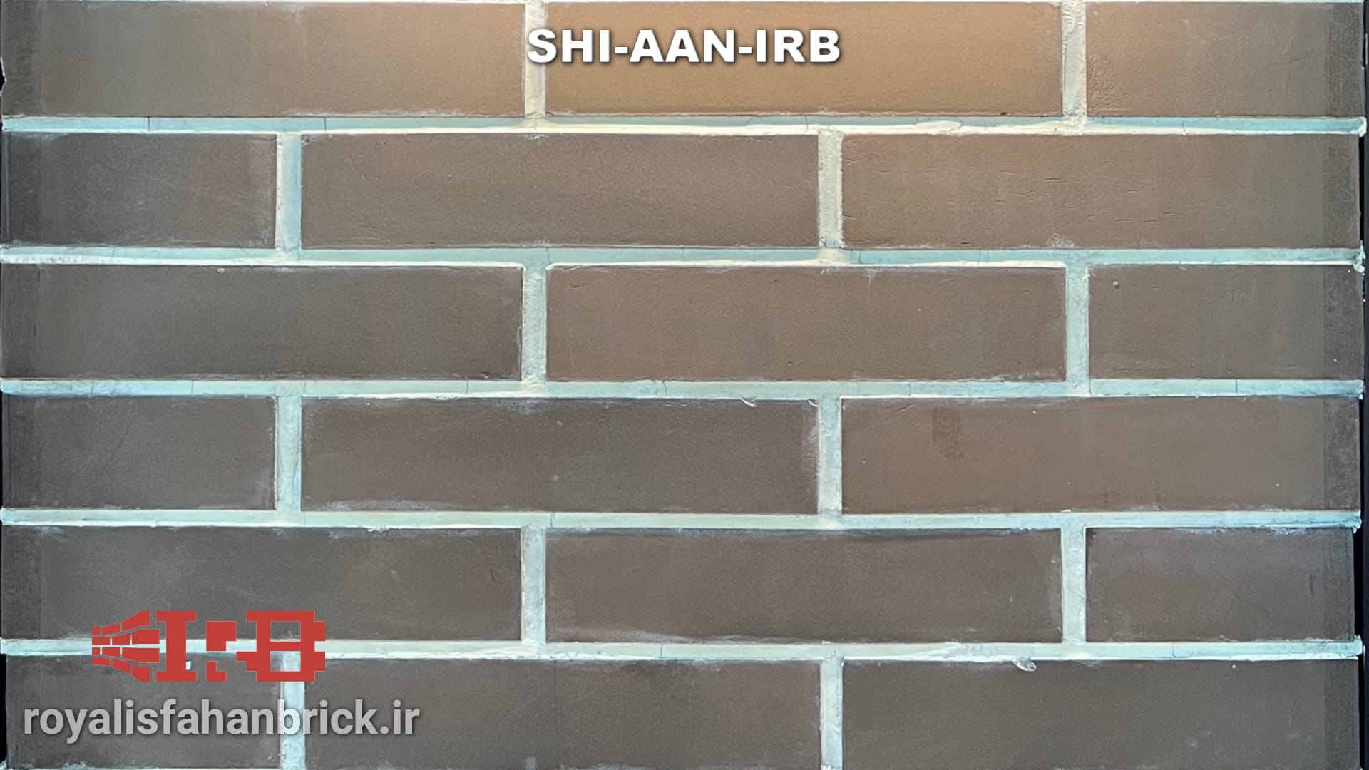 SHI-AAN-IRB