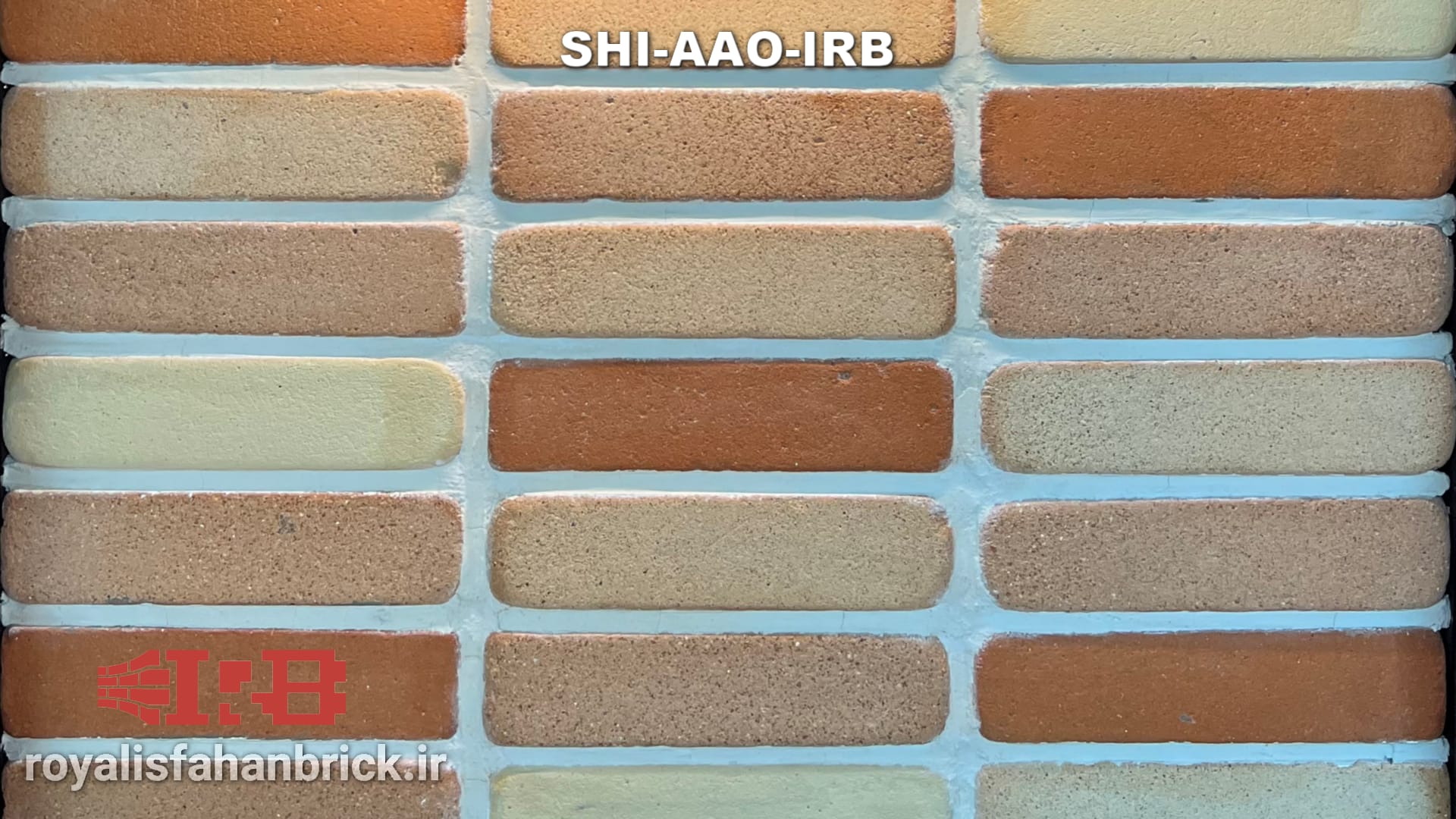 SHI-AAO-IRB