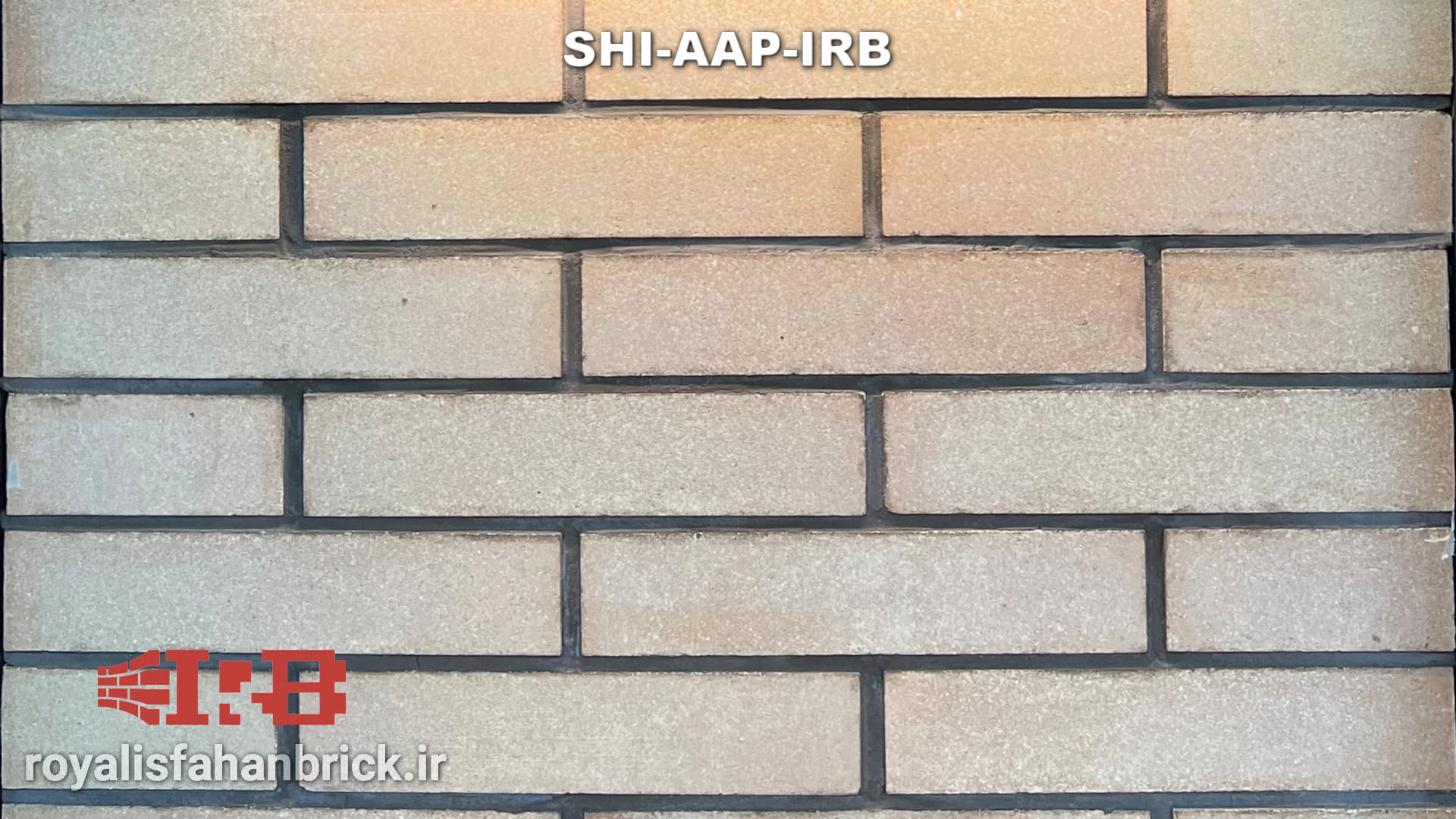 SHI-AAP-IRB