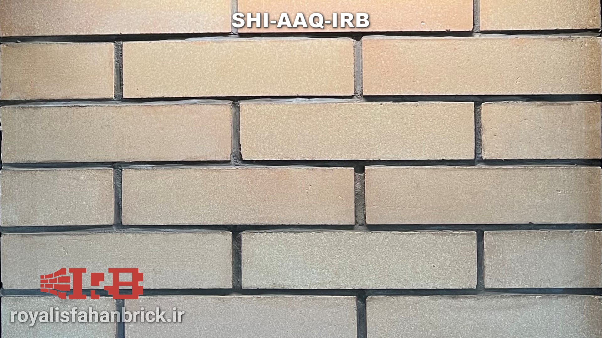 SHI-AAQ-IRB